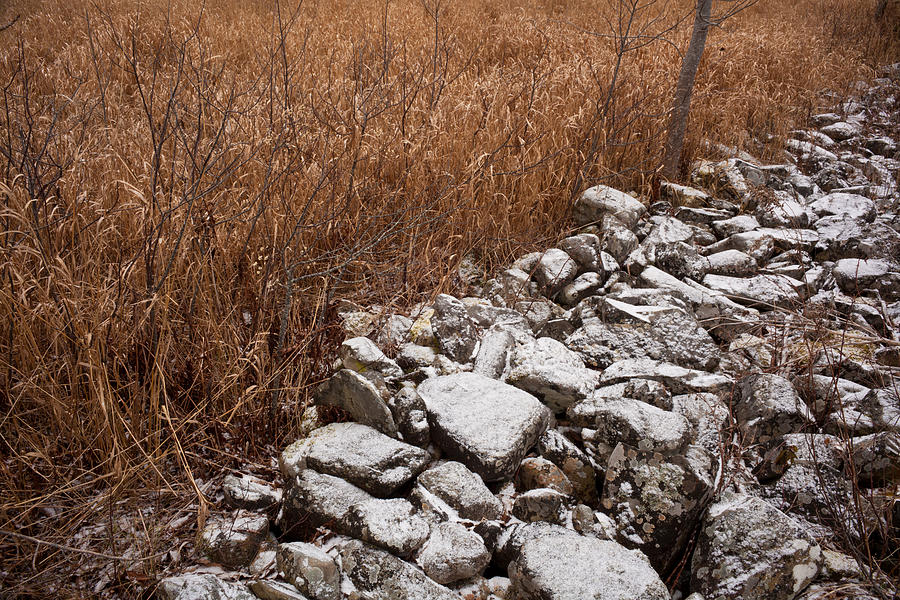 Landscape Photograph - Old Stone Wall at Oakfield #1 by Irwin Barrett