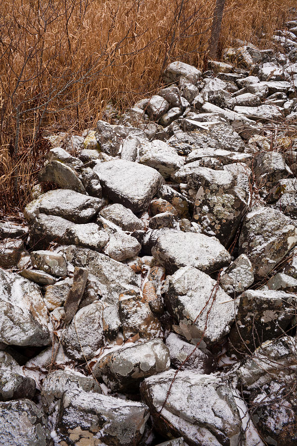 Landscape Photograph - Old Stone Wall at Oakfield #2 by Irwin Barrett