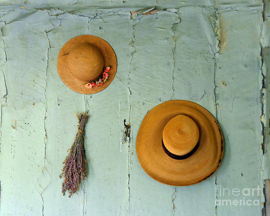 Old Straw Hats Photograph by Catherine Sherman