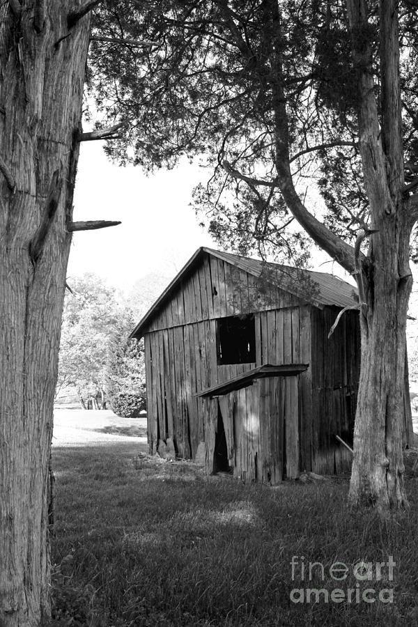 Old Structures Photograph by Todd Blanchard