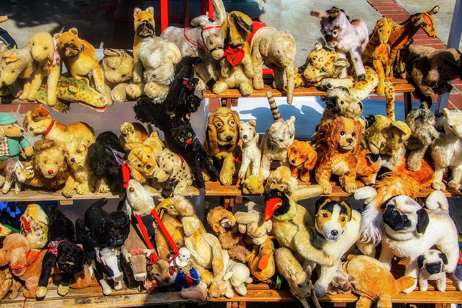 Old Stuffed Animals Photograph by Garry Gay