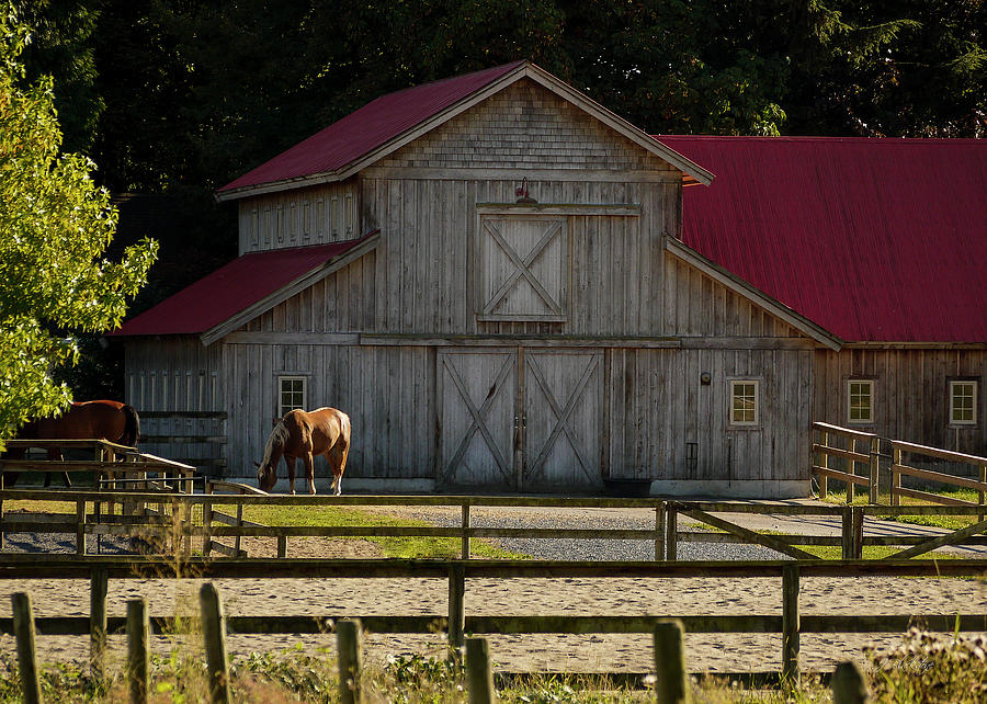 Old-style Horse Barn Photograph by Jordan Blackstone