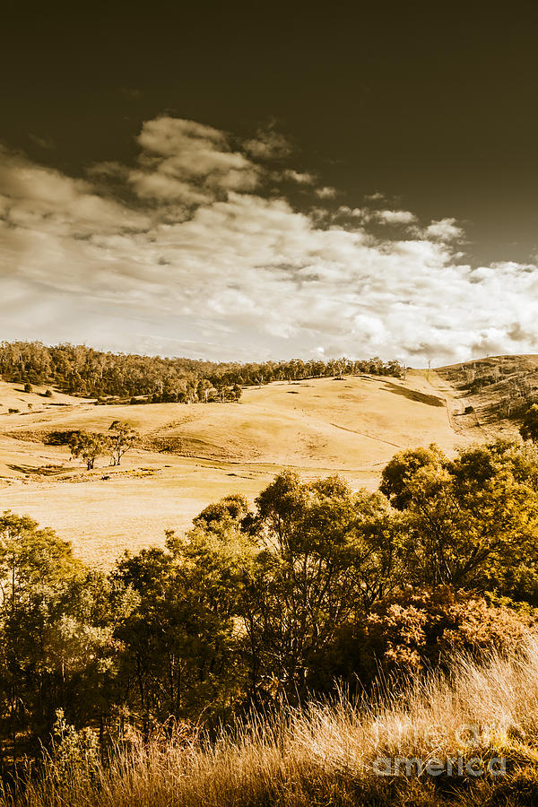 Old summer hills Photograph by Jorgo Photography