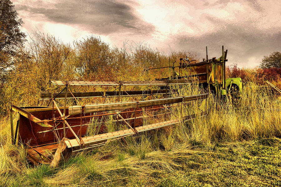 Old Swather in the weeds Photograph by Jeff Swan