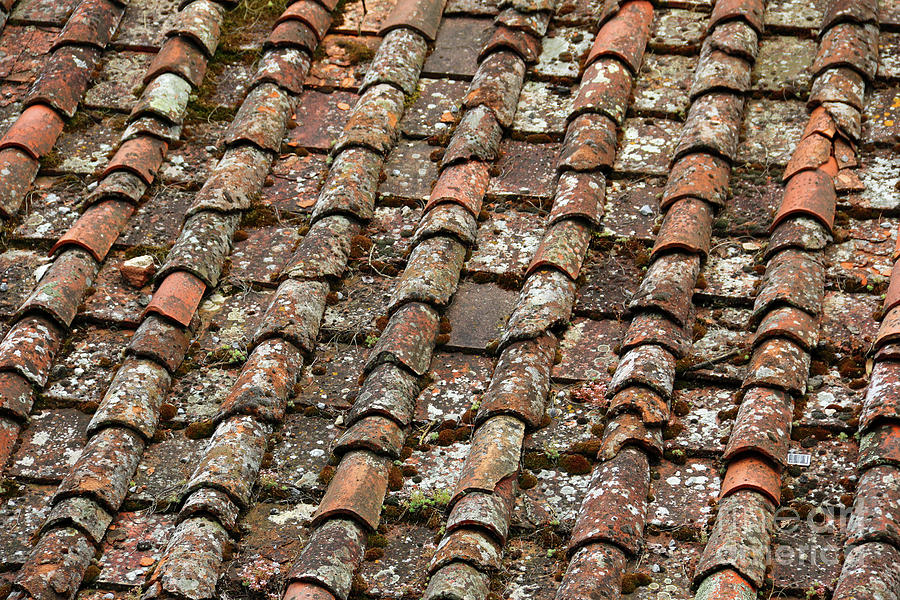 Old Tile Roof  0805 Photograph by Jack Schultz