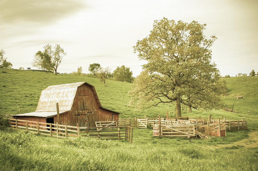 Old Time Country - Aged Vintage Photograph
