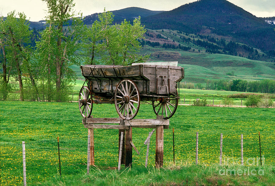 Old Time Freight Wagon in Montana Photograph by Wernher Krutein