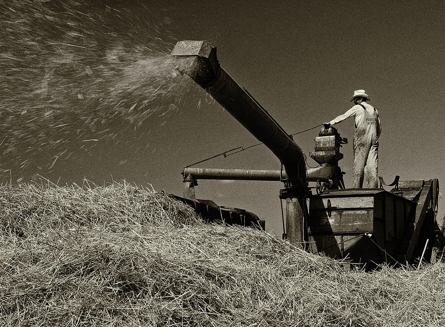 Old time harvest Photograph by Inge Riis McDonald