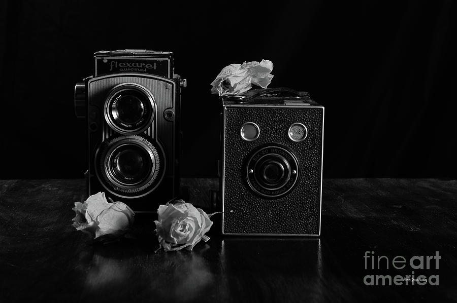 Rose Photograph - Old Times by Randi Grace Nilsberg