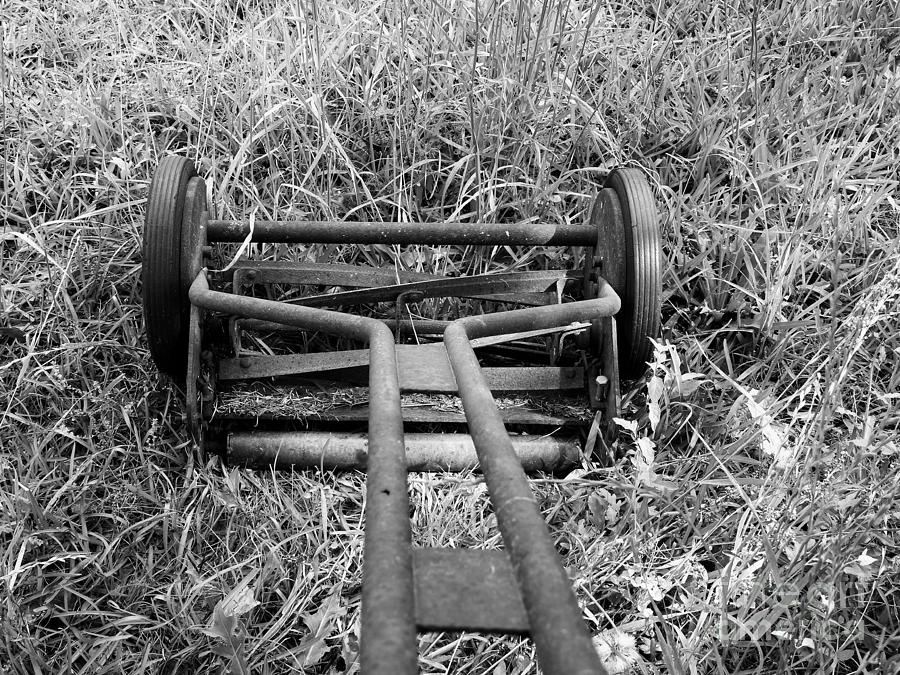 Old Timey Mower Photograph by Jan Gelders