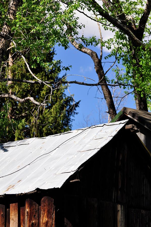 Old Tin Roof Photograph by Jerry Sodorff
