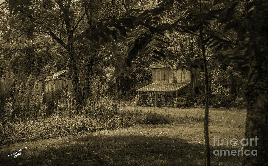 Old Tobacco Barn Black And White Photograph By Aaron Shortt