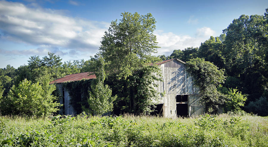 Old Tobacco Barn Photograph by Cricket Hackmann