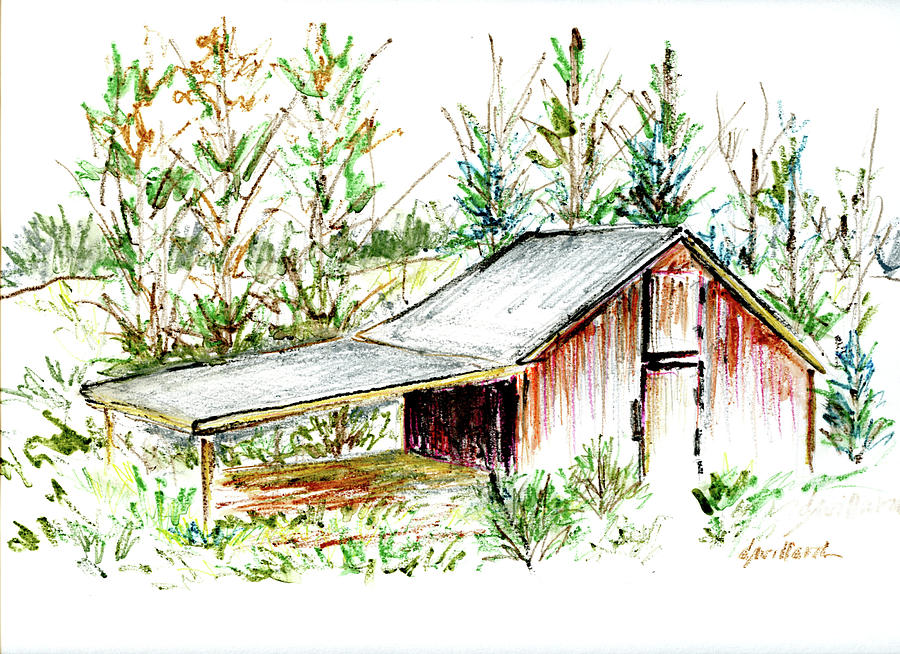 Old Tobacco Barn Drawing By Deborah Willard