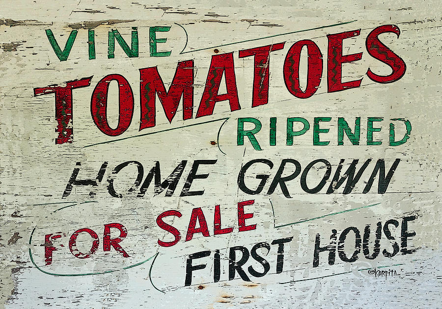 Tomato Photograph - Old Tomato Sign - Vine Ripened Tomatoes by Rebecca Korpita