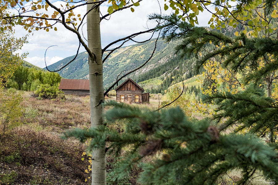 Old Town Cabins Photograph By Joe Yvarra