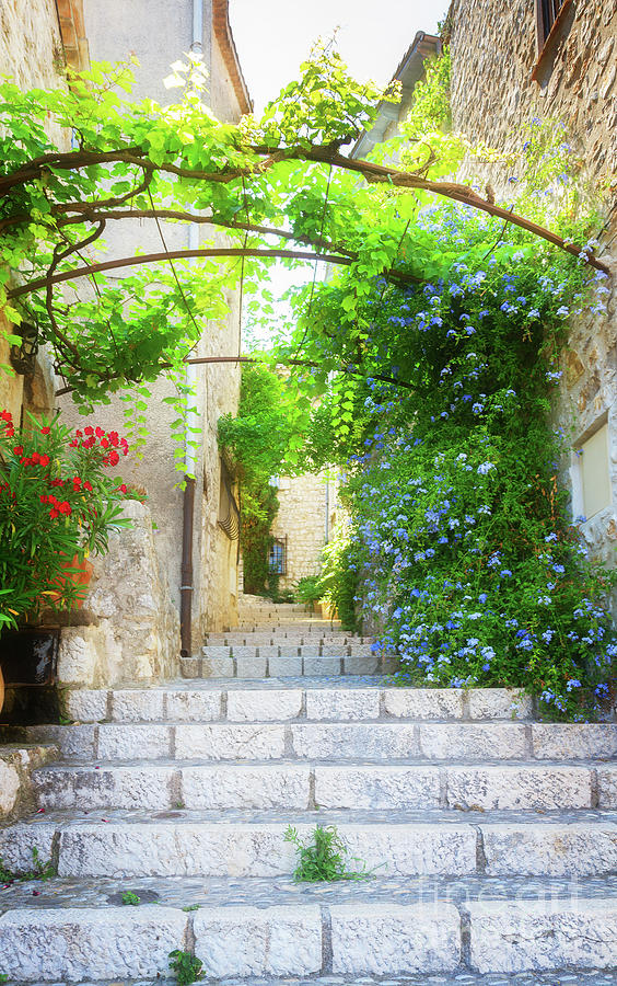 Old Town of Provence Street Photograph by Anastasy Yarmolovich