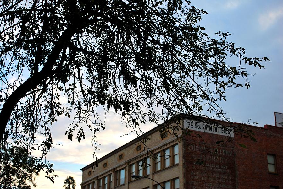 City Photograph - Old Town Raymond Building Tree View  by Matt Quest