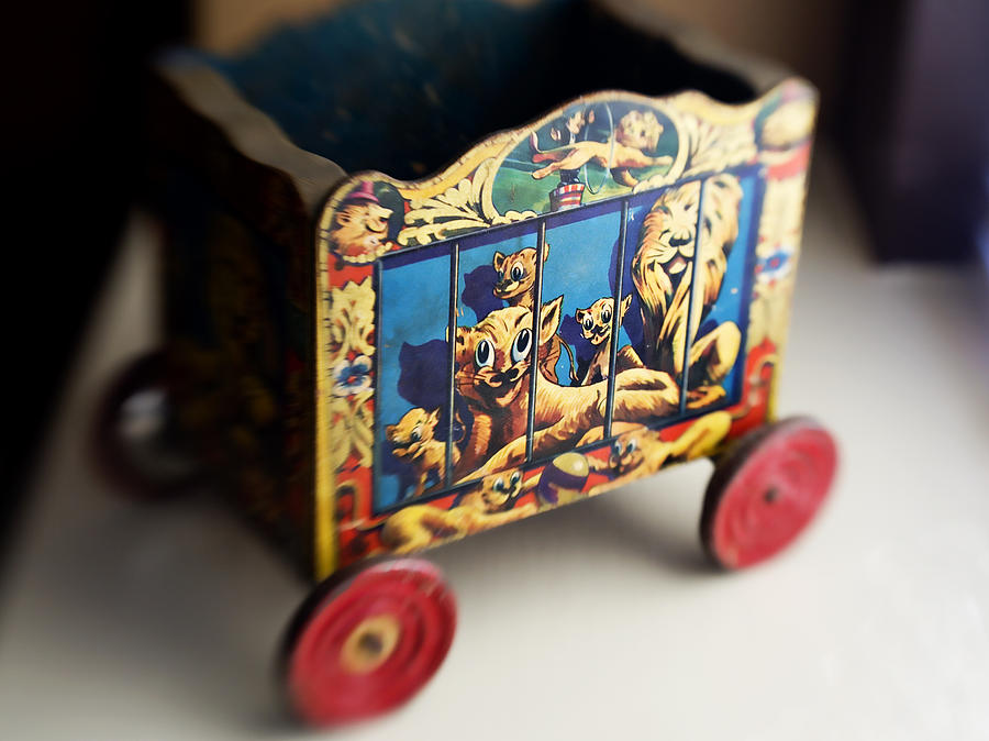 Old Toy Photograph by Marilyn Hunt