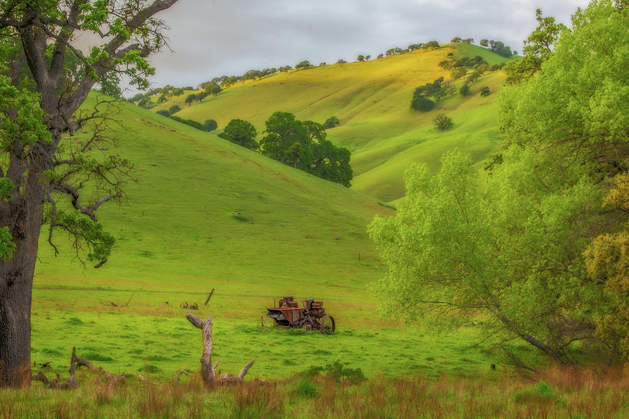 Old Tractor in a Green Field Photograph by Marc Crumpler