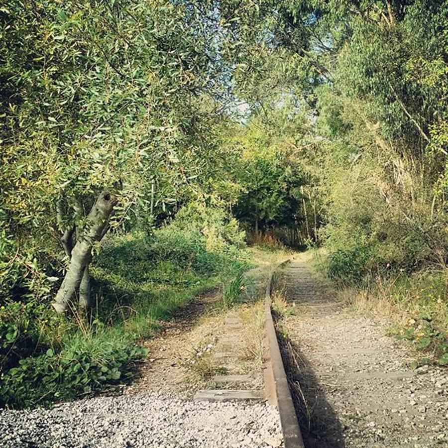 Nature Photograph - #old #traintracks #route #nature by Image Creative Media