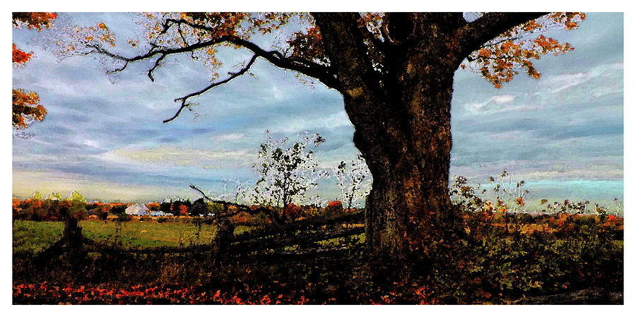 Old Tree at Scotsdale Farm, Halton Hills Ontario Photograph by Jonathan Baldock