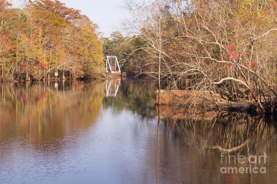 Old Trestle on the Waccamaw River Photograph by MM Anderson