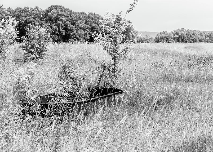 Old Trough in a Field Photograph by Joni Eskridge
