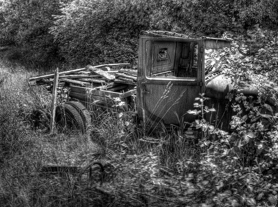 Old Truck 7 In The Weeds Photograph by Lawrence Christopher