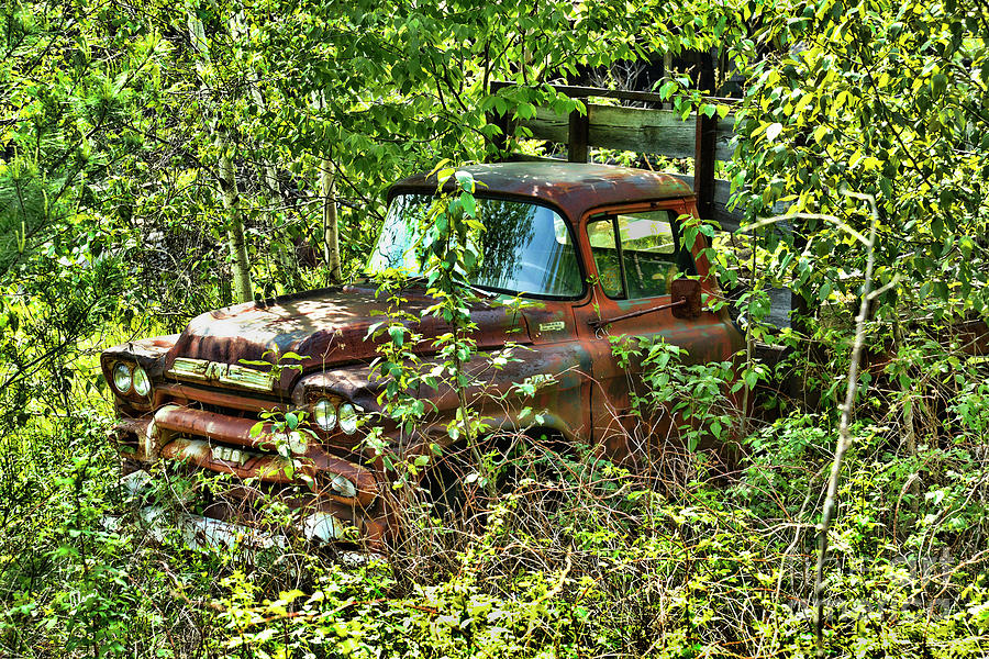 Old Truck Photograph by Alana Ranney