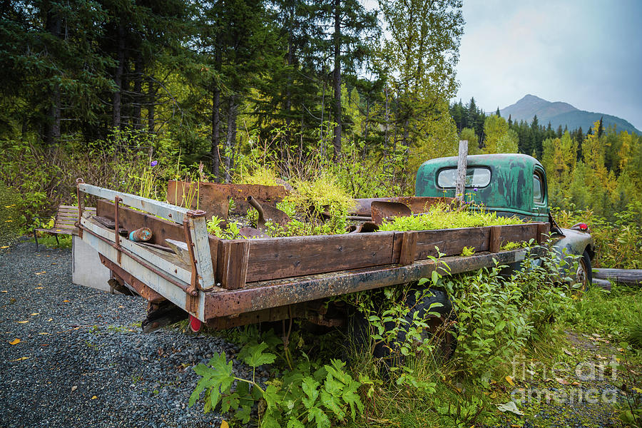 Old Truck at Crow Creek Mine Photograph by Eva Lechner