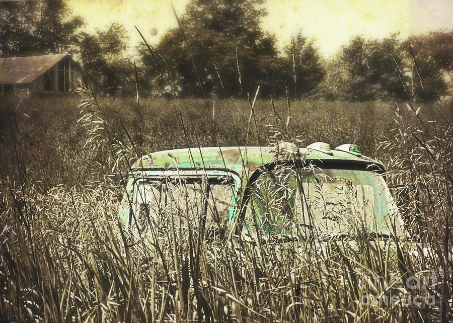 Old Truck in the Farm Field Photograph by Hal Halli