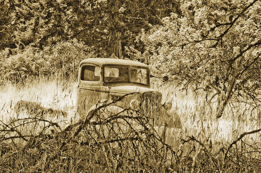 Old Truck Photograph by Linda McRae