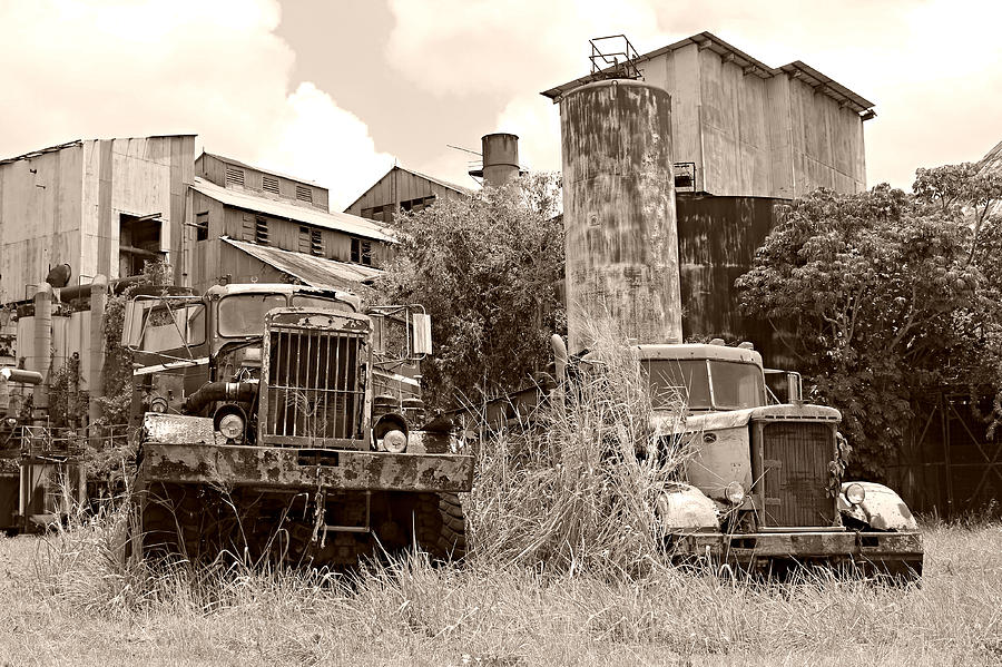 Old Trucks at the Koloa Sugar Mill Photograph by Steve Natale