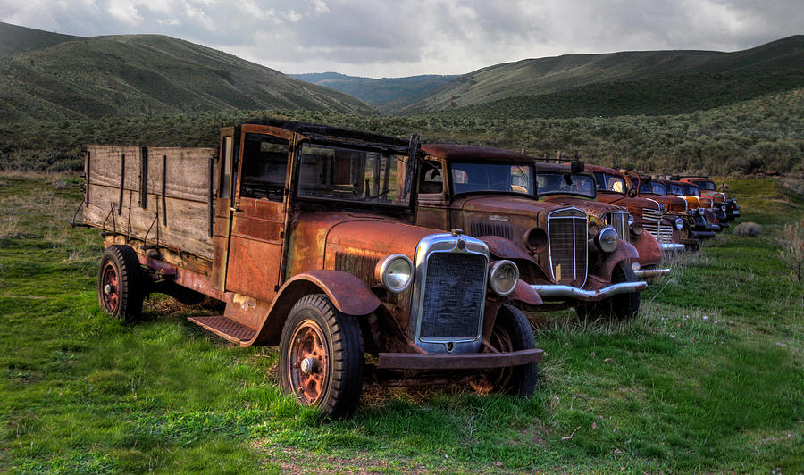  Old  Trucks  In Field  Photograph by David Lutz