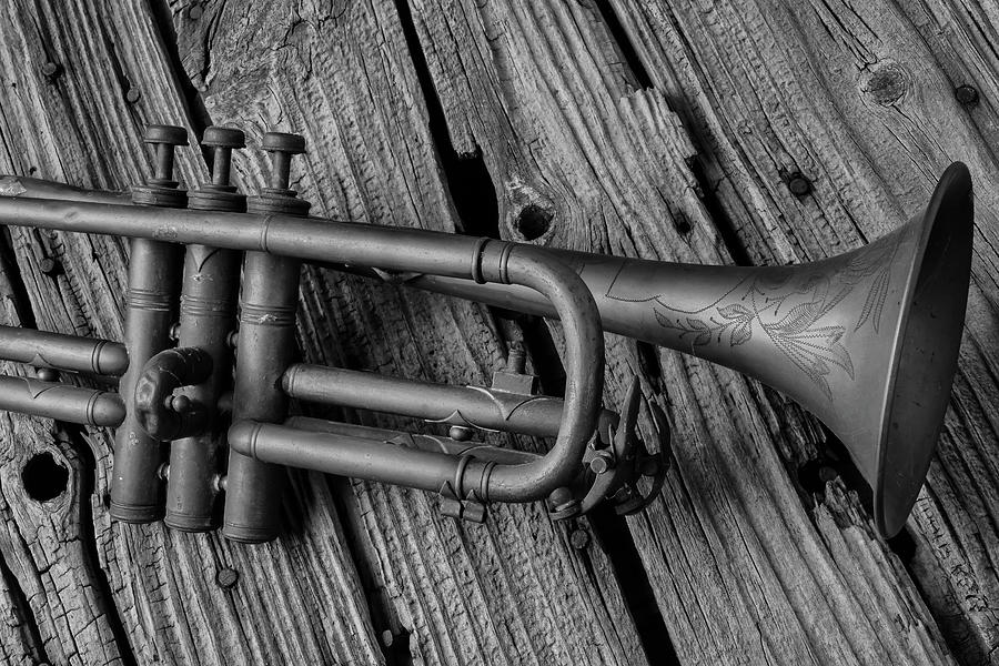 Old Trumpet Close Up Photograph by Garry Gay