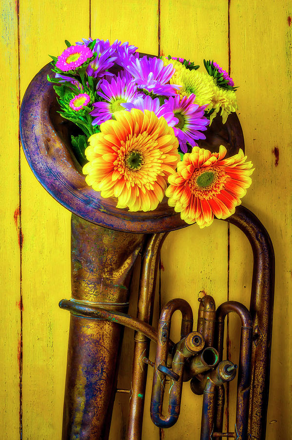 Old Tuba And Flower Bouquet Photograph by Garry Gay