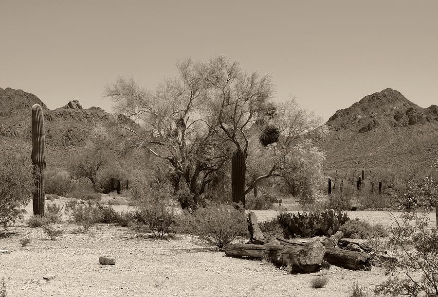 Old Tucson Landscape  Photograph by Gordon Beck