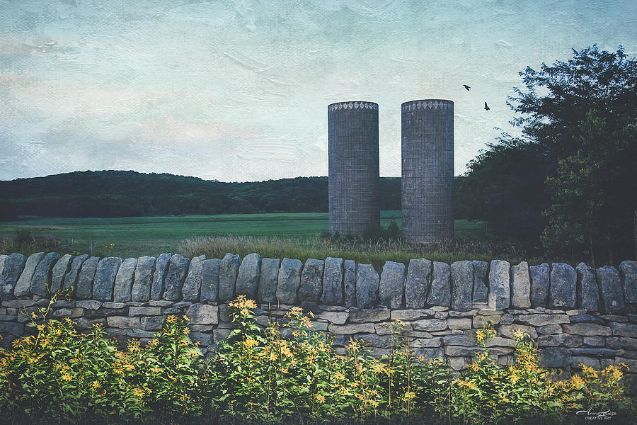 Old Twin Silos and Rock Fence Photograph by Anna Louise
