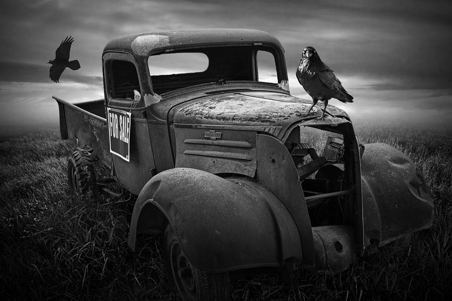 Old Vintage Chevy Pickup Truck with Ravens Photograph by Randall Nyhof