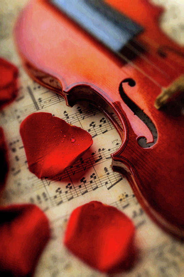 Old Violin And Rose Petals Photograph by Garry Gay