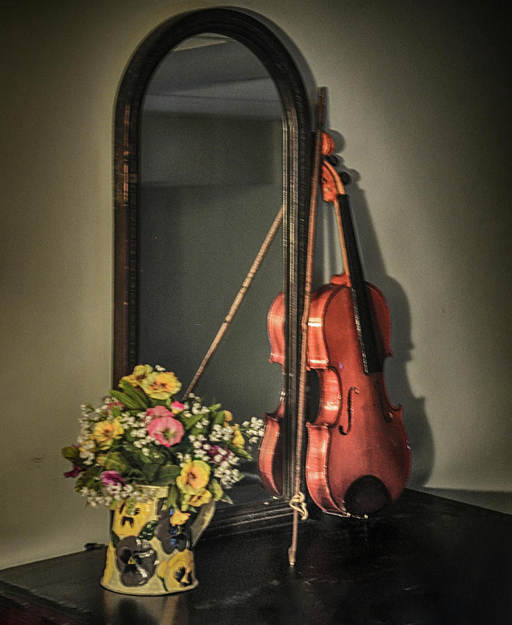 Old Violin Photograph by Bill Cannon