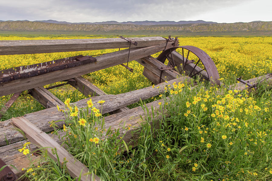 Old Wagon and Wildflowers Photograph by Marc Crumpler
