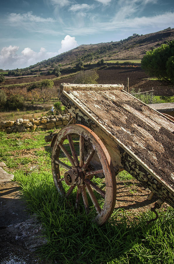 Old Wagon Photograph by Carlos Caetano