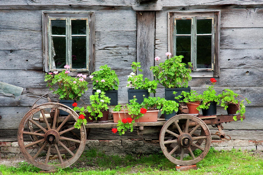 Transportation Photograph - Old wagon full of flowers by Shu Fu