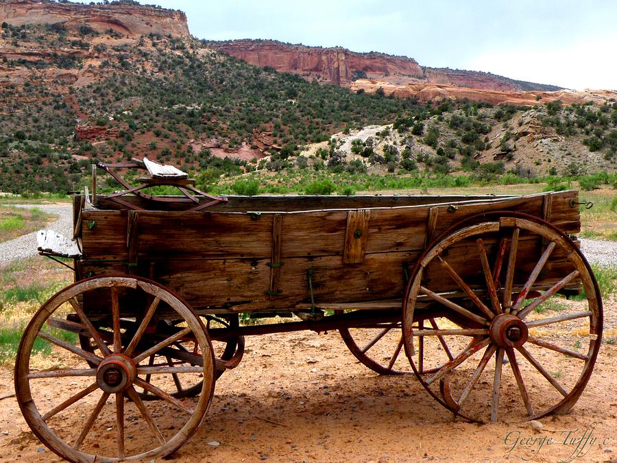 Old wagon Photograph by George Tuffy