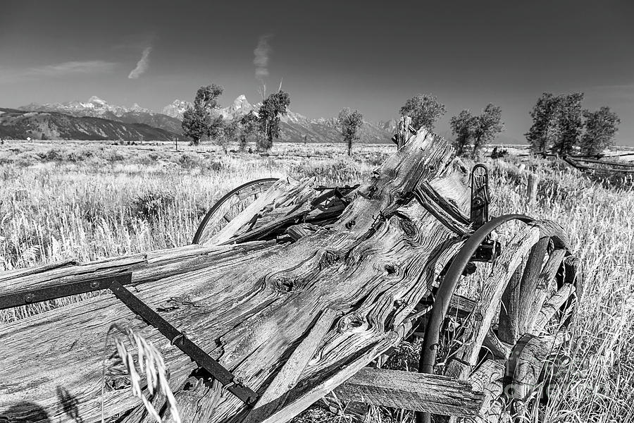 Old Wagon, Jackson Hole Photograph by Daryl L Hunter Fine Art America