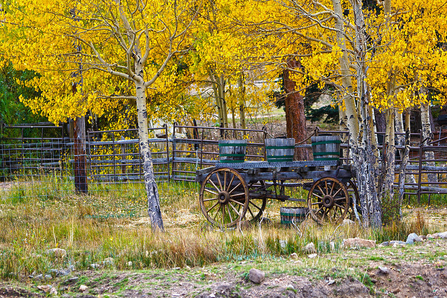 Old Wagon Photograph by James Roemmling