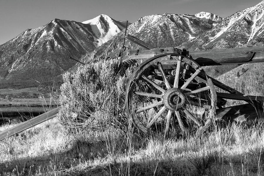 Old Wagon Near Jobs Peak Photograph by James Eddy
