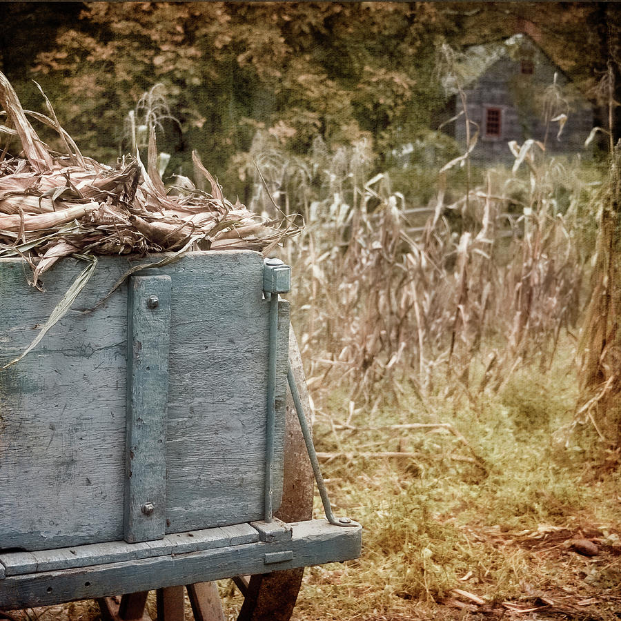 Old Wagon on Farm - Farmhouse Art Photograph by Joann Vitali